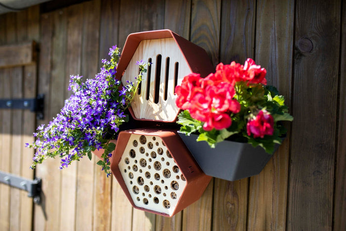 Capi Europe Plantenbakje Hive - 19x23x20 - Bruin