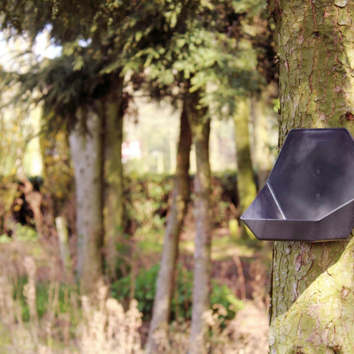 Capi Europe - Plantenbakje Hive - 19x23x20 - Bruin