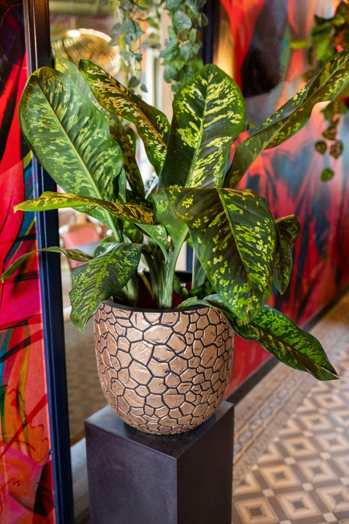 Capi Europe Bloempot bol Clay NL - 35x34 - Goud