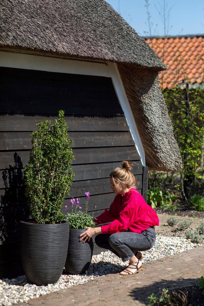 Capi Europe - Vaas elegant laag Rib NL - 34x46 - Goud