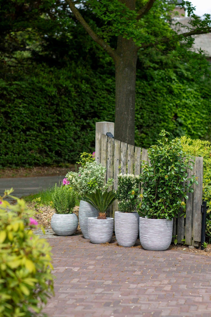 Capi Europe - Vaas elegant laag Rib NL - 34x46 - Goud