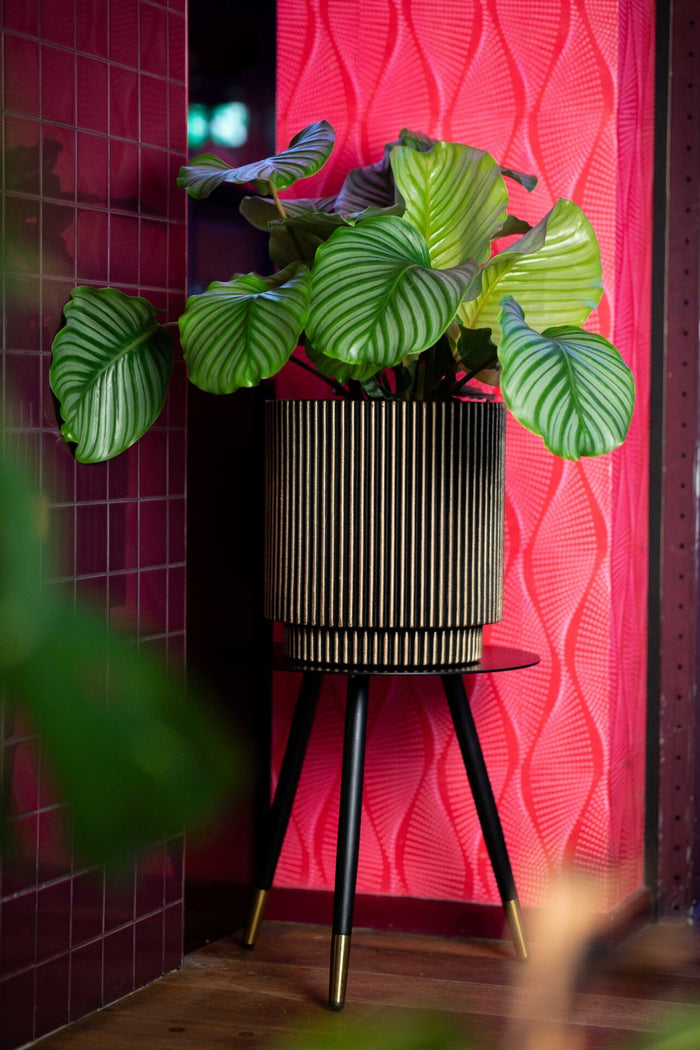 Capi Europe Vaas cilinder Groove NL - 41x43 - Antraciet