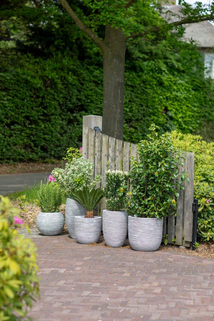 Capi Europe Bloempot bol Rib NL - 55x53 - Goud