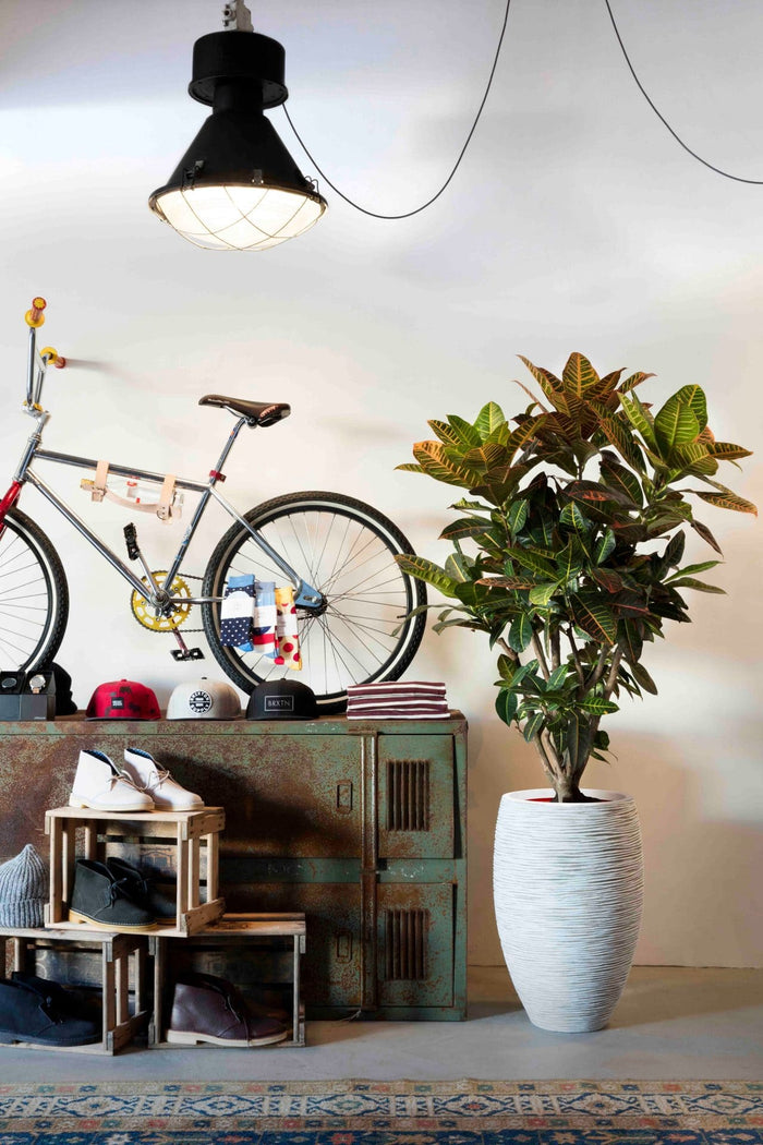 Capi Europe Vaas elegant deluxe Rib NL - 51x72 - Goud