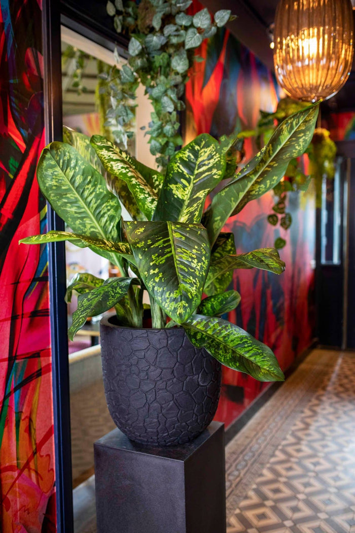 Capi Europe Bloempot bol Clay NL - 43x41 - Goud