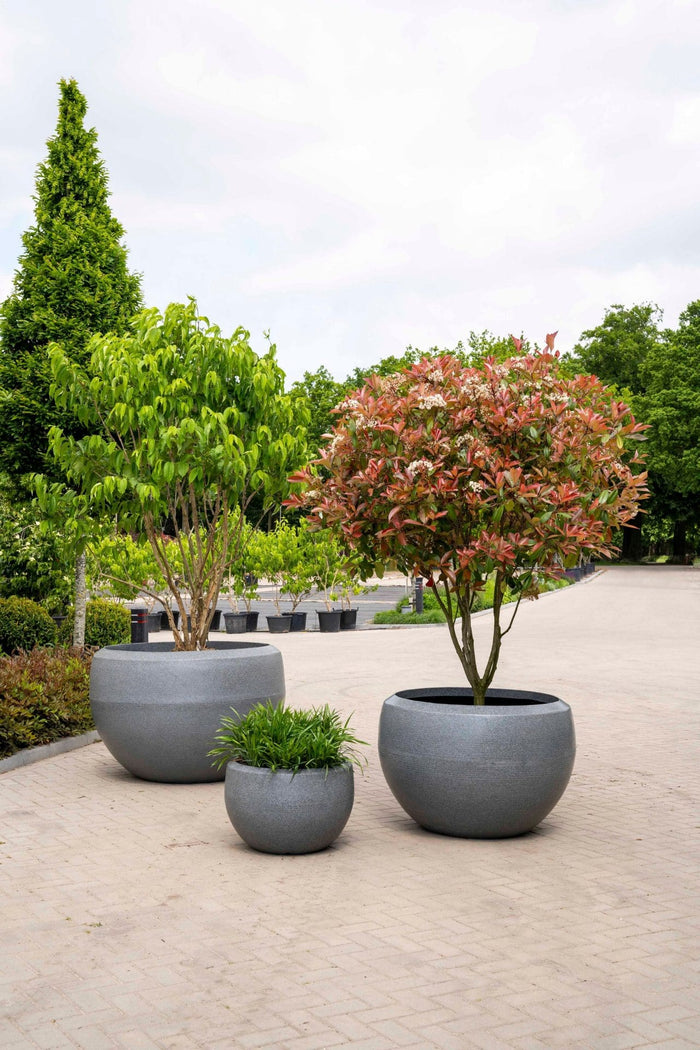 Capi Europe Vaas bol Granite - 177x120 - Ivoor