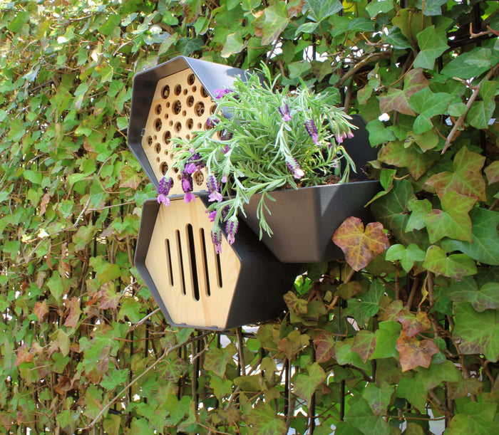 Capi Europe Vlinderhuisje Hive - 19x23x20 - Antraciet