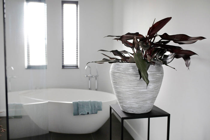 Capi Europe - Vaas taps rond Rib NL - 42x38 - Goud