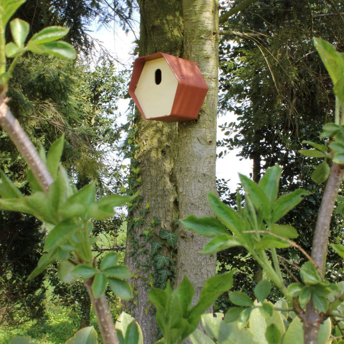Capi Europe - Vogelhuisje ovaal Hive - 19x23x20 - Bruin
