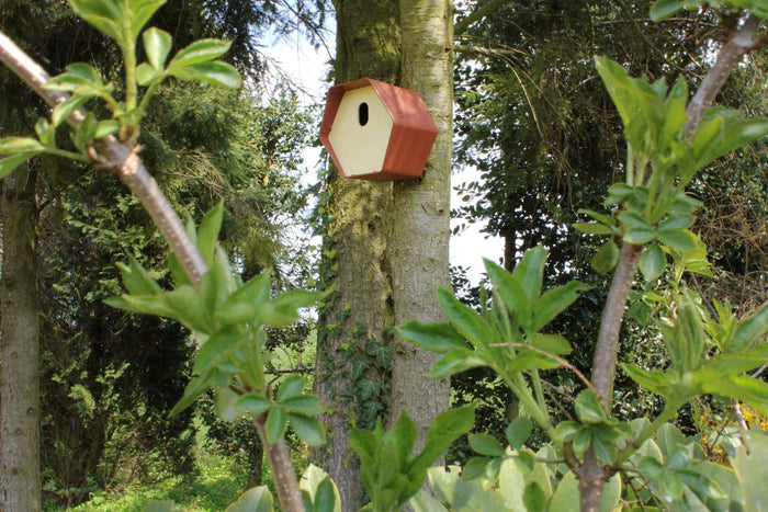 Capi Europe Vogelhuisje ovaal Hive - 19x23x20 - Bruin