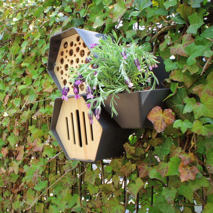 Capi Europe - Vogelhuisje ovaal Hive - 19x23x20 - Bruin