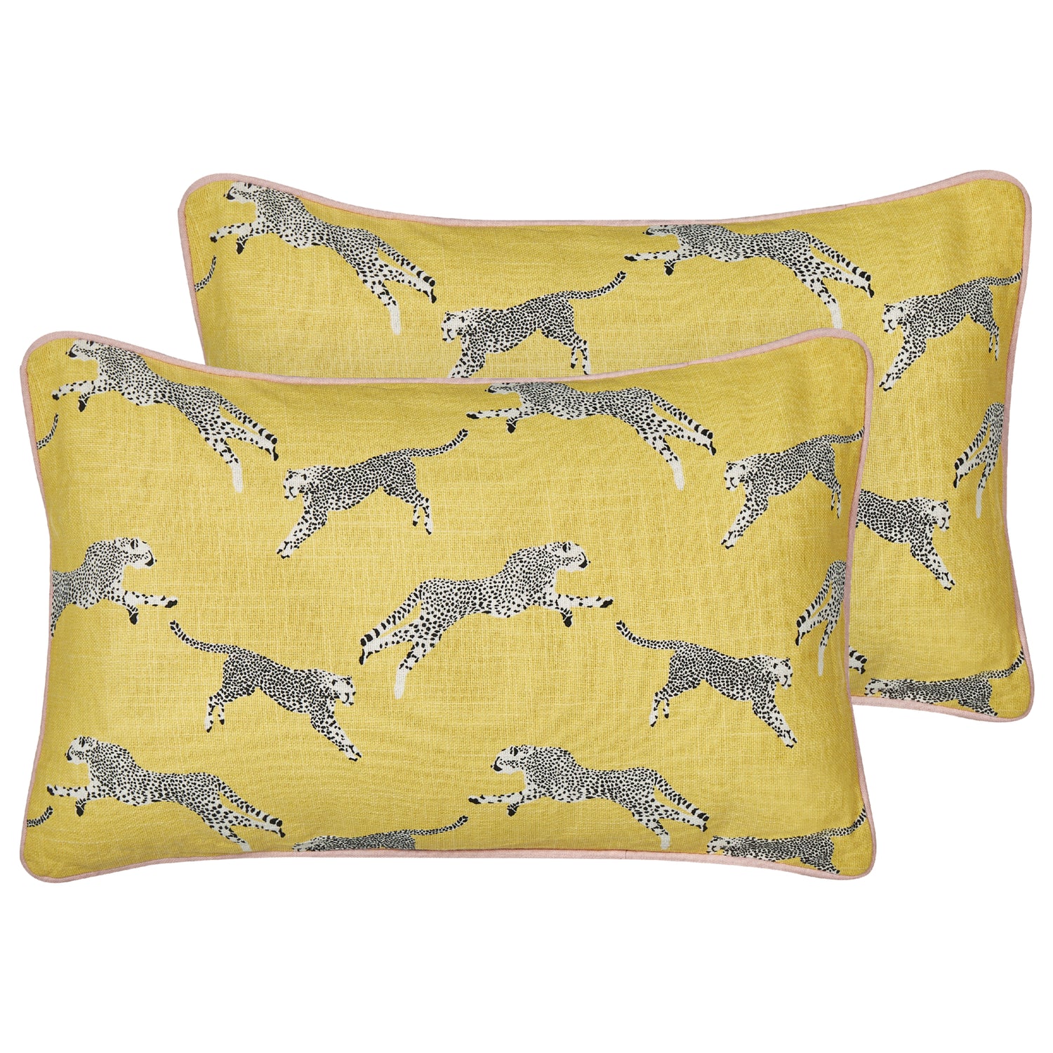 2c13b383-025b-451b-88df-c1e6bbb0e562-vrijstaandbeeld.jpg (7837194) 