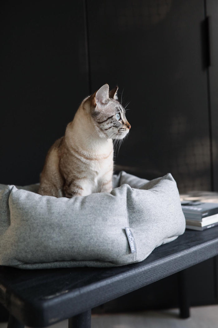 c99e10f2-7a12-44c0-a773-890476303087-sfeerbeeld.jpg (7837267) 