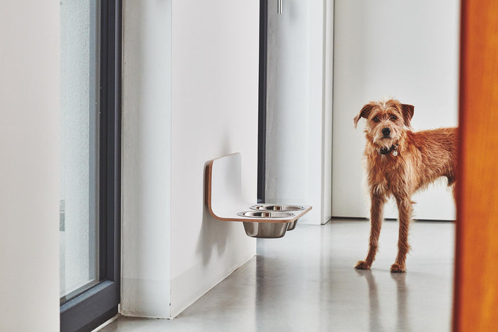 MiaCara Arco hondenvoerbak wand small|medium wit