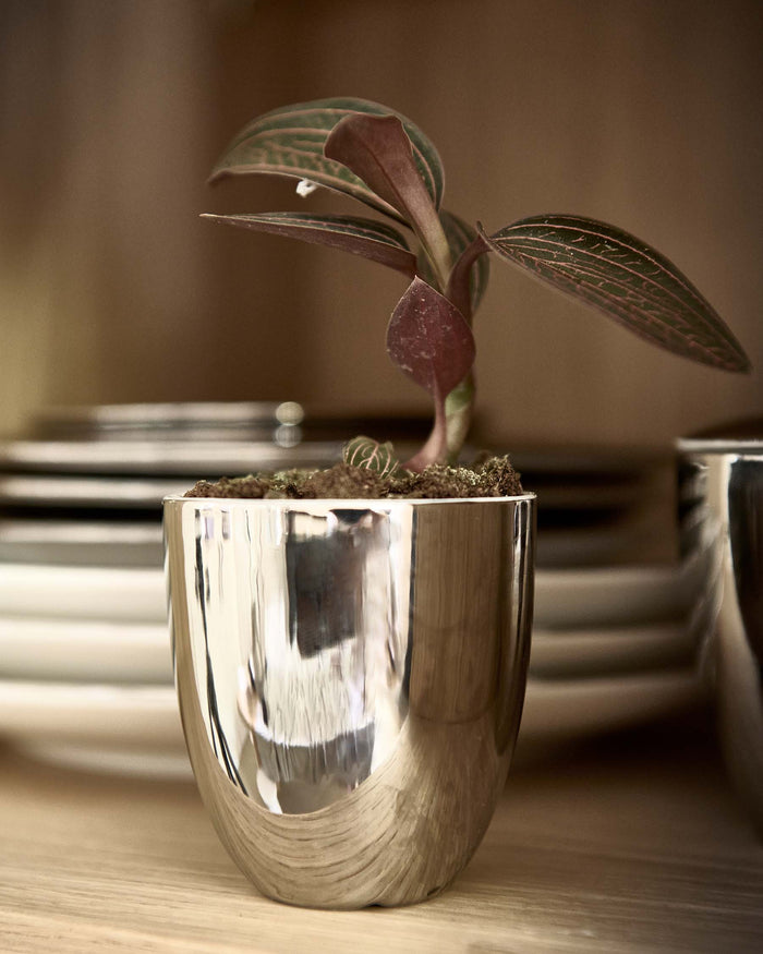 vtwonen Theeset - set van 3 - Klein - Zilver