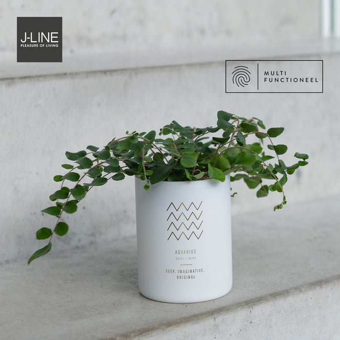 J-Line geurkaars Astro Schorpioen – Sapphire Amber Tea – wit - 50U