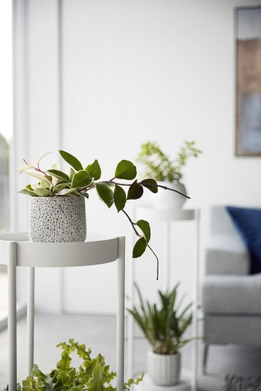 Yamazaki Plantenrek Binnen met Wielen - Tower - Wit