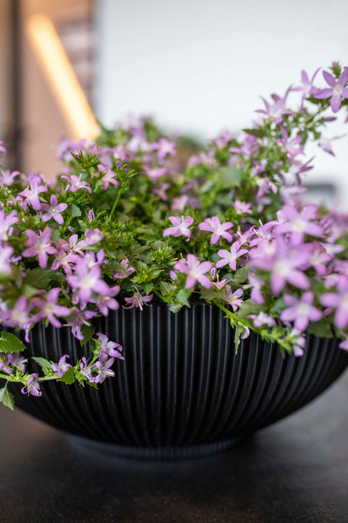 03722817-a684-4859-9e49-40afaf0399e4-afbeelding3.jpg (7904378) 