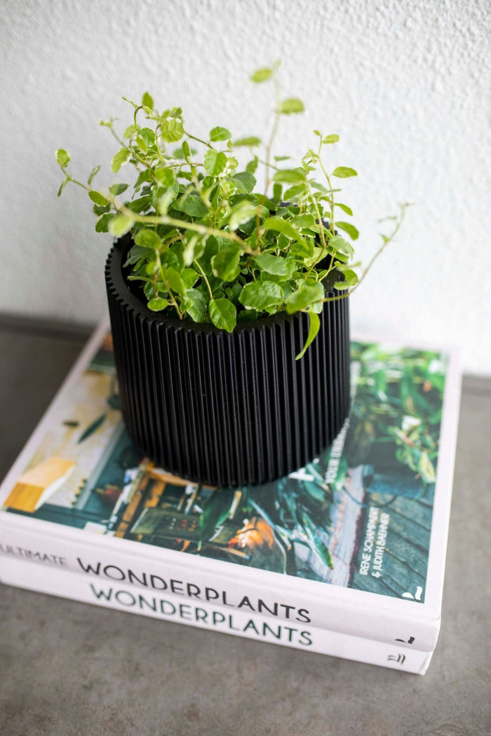 3dbeefe9-b26c-430c-89dc-22d6dfccc713-afbeelding3.jpg (7904514) 