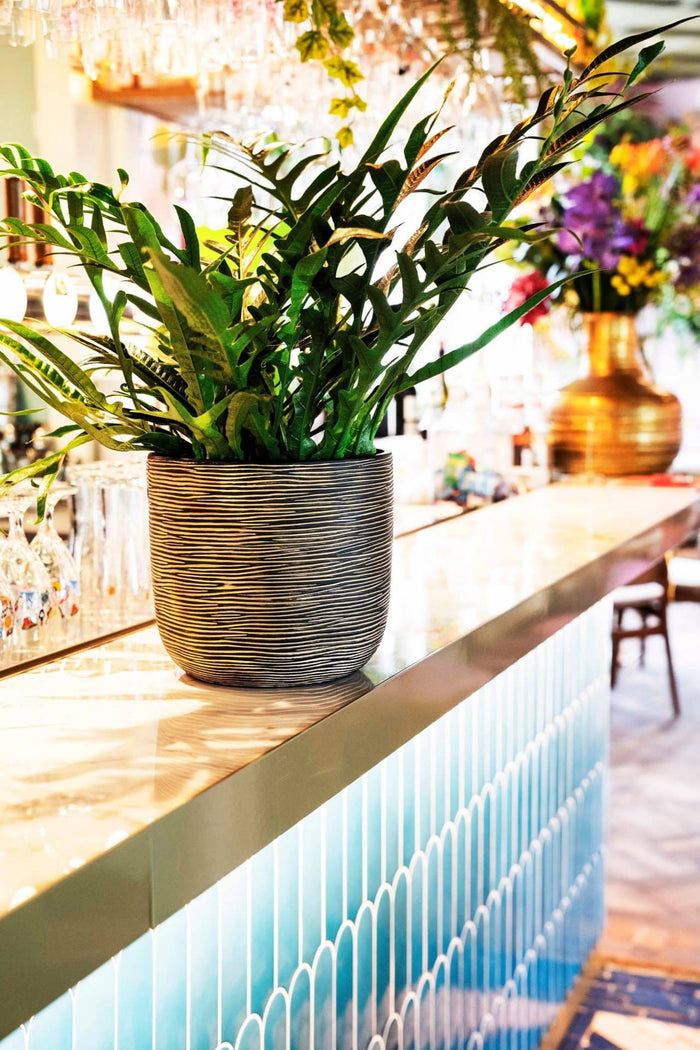 b7242c7f-ea05-4482-9ff8-49a7ddd307fa-afbeelding3.jpg (7904538) 