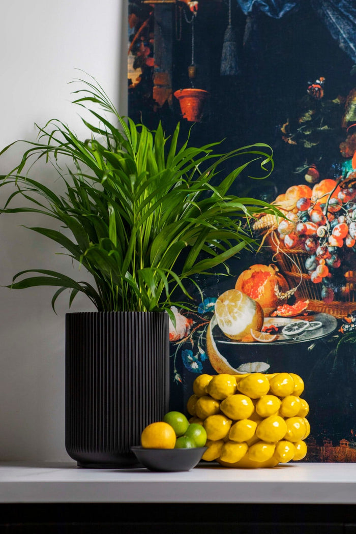 7cd5169b-2eda-4d6f-ae6b-80acbaab9638-afbeelding3.jpg (7904621) 