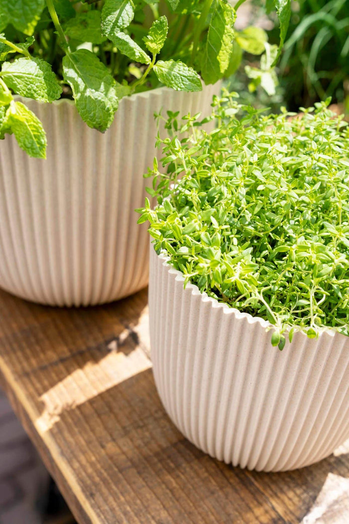 38c73395-223d-499d-966e-011f3c914c4f-sfeerbeeld.jpg (7904626) 