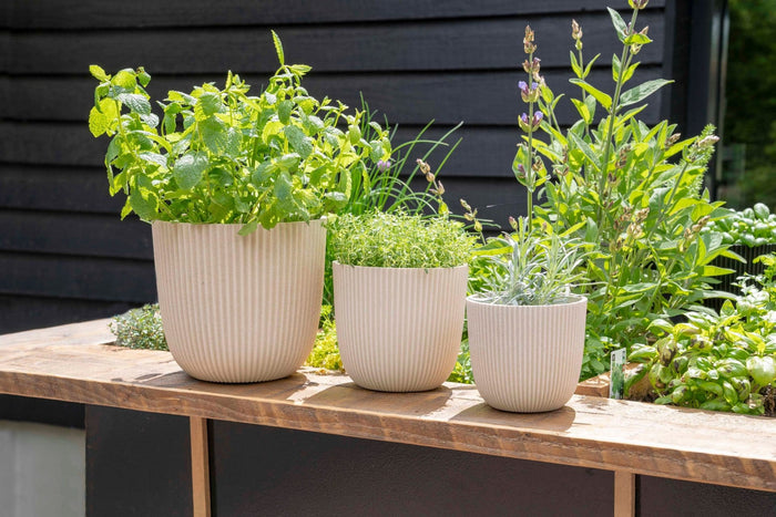 38c73395-223d-499d-966e-011f3c914c4f-afbeelding4.jpg (7904628) 