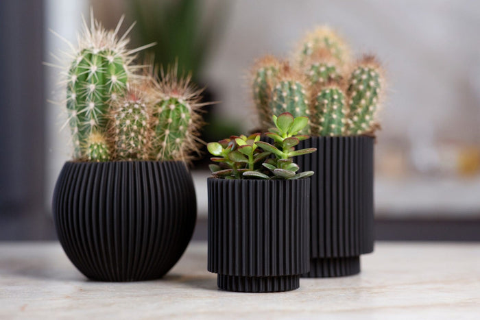 d9f0858d-0c86-4c00-9d30-6e61cea8353c-afbeelding3.jpg (7904909) 