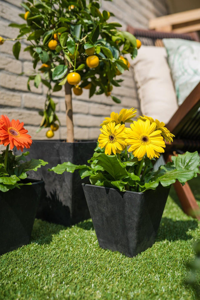 c650d3f2-aed3-4e8b-b892-794fb292045d-afbeelding4.jpg (7906211) 