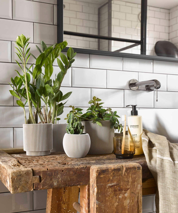 249494c0-0527-4cf2-b618-a4876f3876f1-afbeelding6.jpg (7906293) 