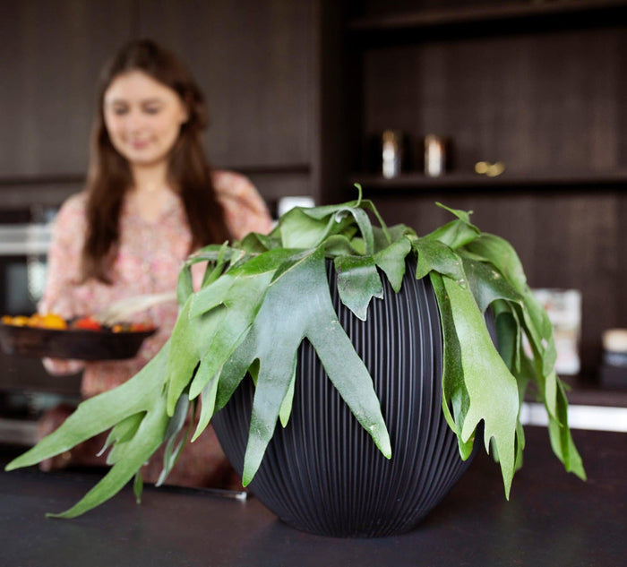 Capi Europe - Vaas bol Groove  - 30x25 - Zwart