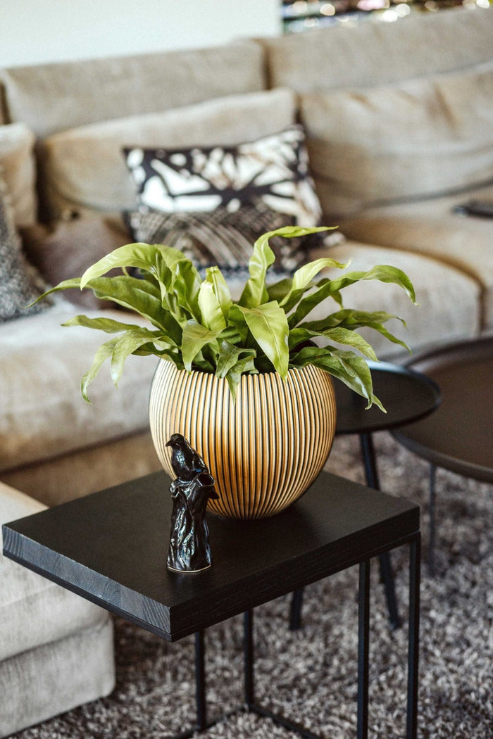 Capi Europe - Vaas bol Groove  - 30x25 - Zwart