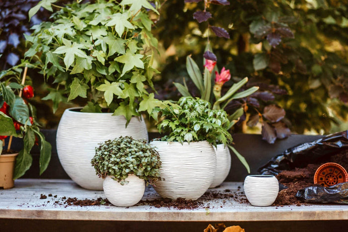 82545176-0edb-4570-a634-5cbb8afbab16-afbeelding5.jpg (7907197) 