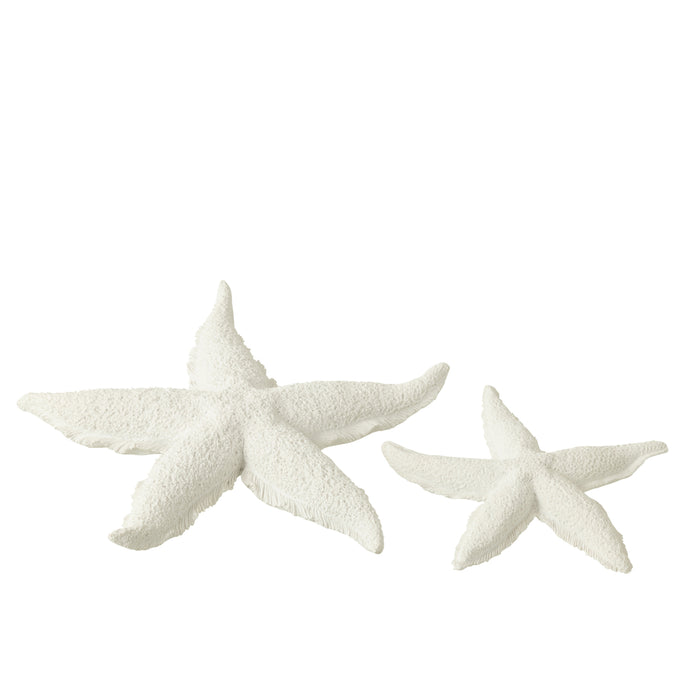 J-Line decoratie Bol Pike - schelpen - wit - small - 2 stuks