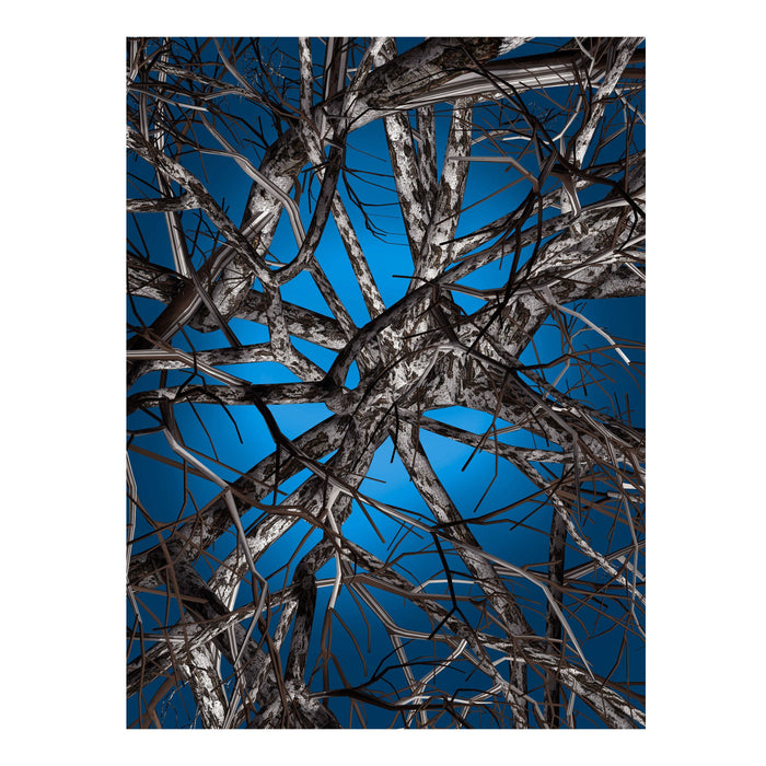 Moooi Carpets Liquid Birch vloerkleed 200x300