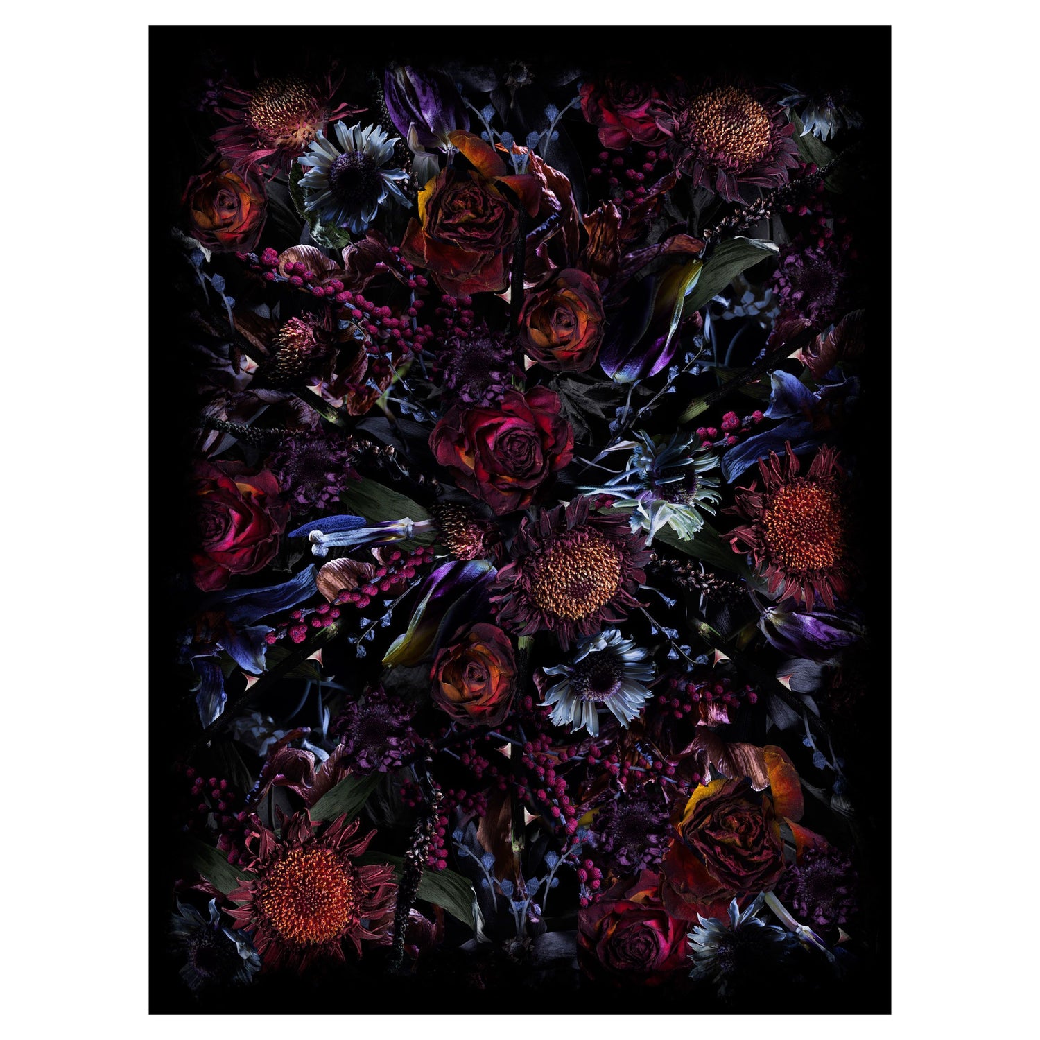 Moooi Carpets Fool's Paradise vloerkleed 300x400