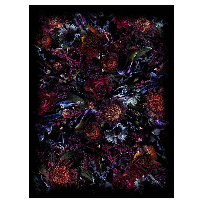 Moooi Carpets Fool's Paradise vloerkleed 300x400