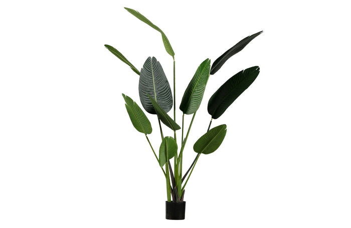 Woood Strelitzia Kunstplant Groen 164 cm