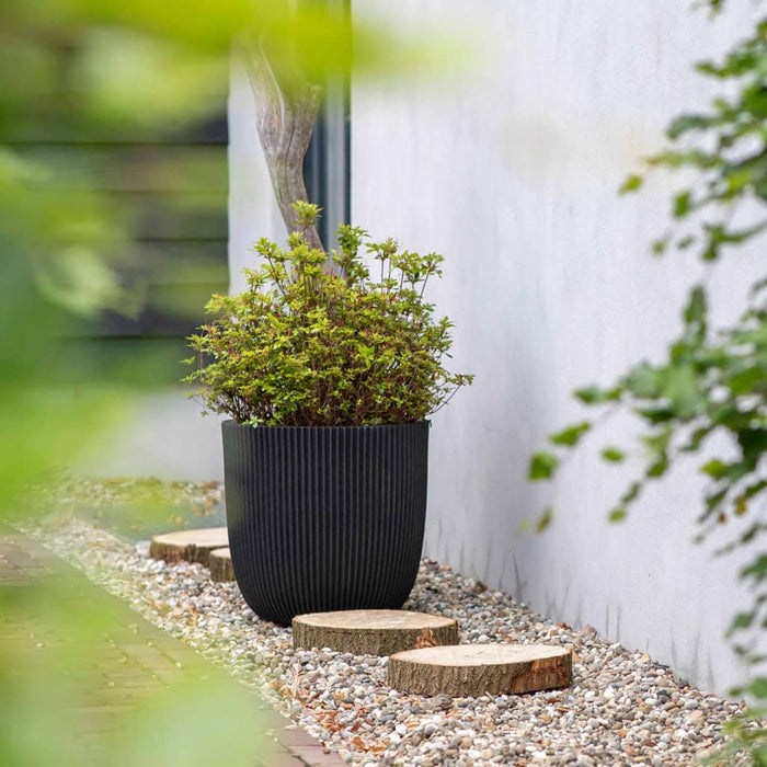 cb811f43-1e6c-45ee-8e0d-ef85b39e326b-afbeelding11.jpg (7960616) 