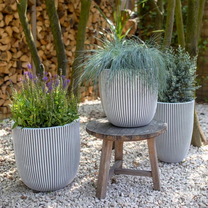 1739600c-6be7-4f7b-8429-d91df8e73da2-afbeelding10.jpg (7960719) 