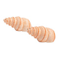 &k amsterdam De La Mer Peper & Zoutstel - Shell