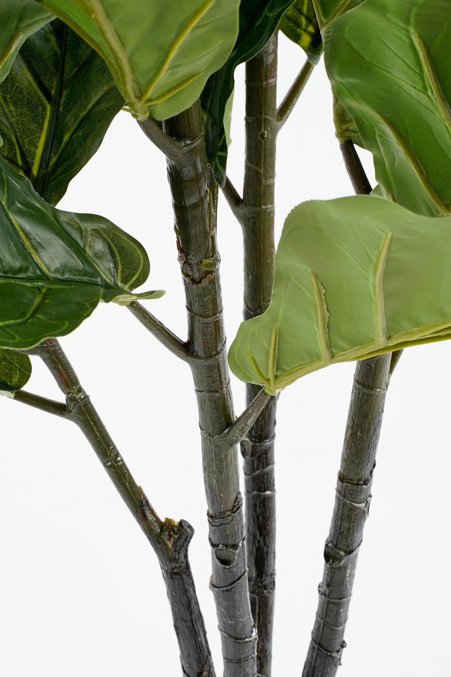 d7373821-bdb8-41b1-ab5f-5ade9538aef7-sfeerbeeld.jpg (8006245) 