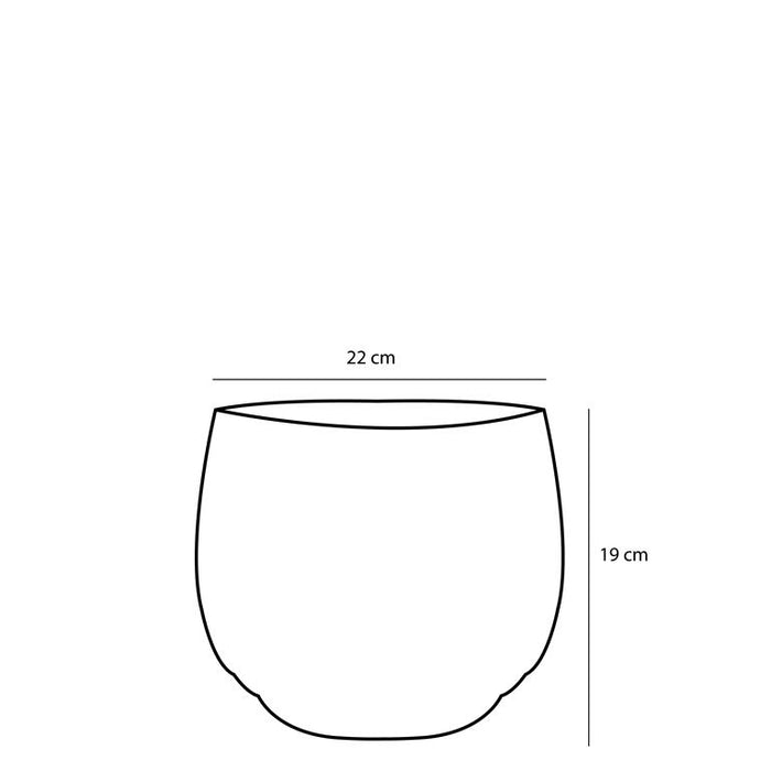 b5251dd2-a80d-4621-a451-f2039b0b32a1-afbeelding5.jpg (8027783) 