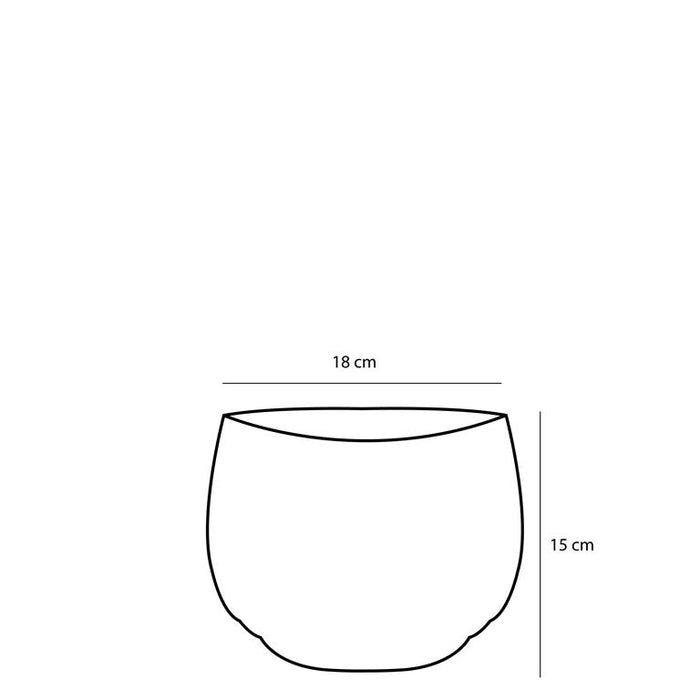 b5251dd2-a80d-4621-a451-f2039b0b32a1-afbeelding6.jpg (8027784) 