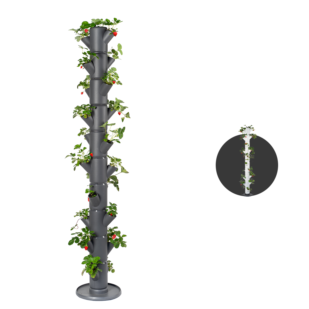 Gusta Garden - Sissi Strawberry - Aardbeienplanttoren - 10 niveaus
