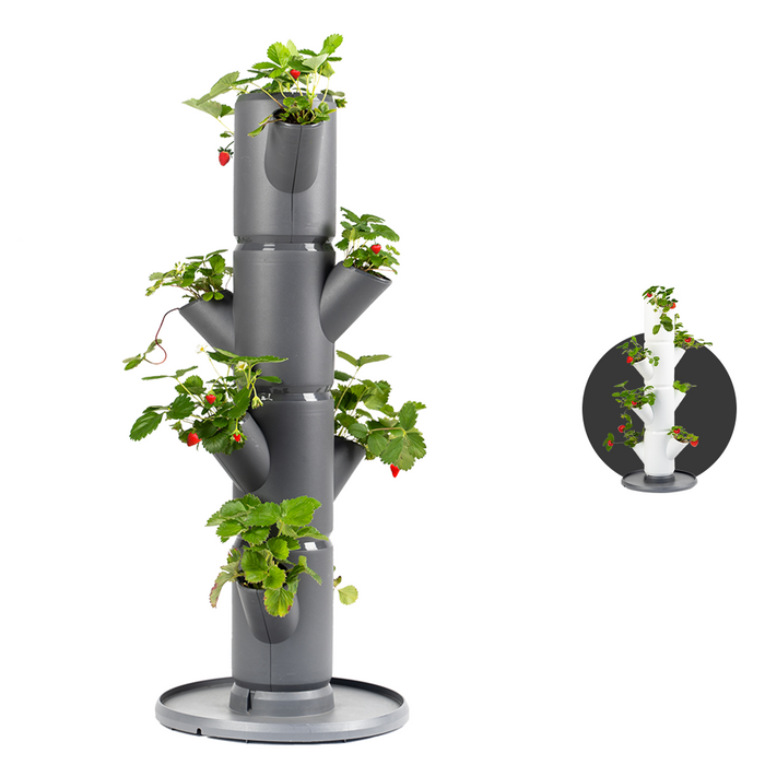 Gusta Garden - Sissi Strawberry - Aardbeienplanttoren - 4 niveaus
