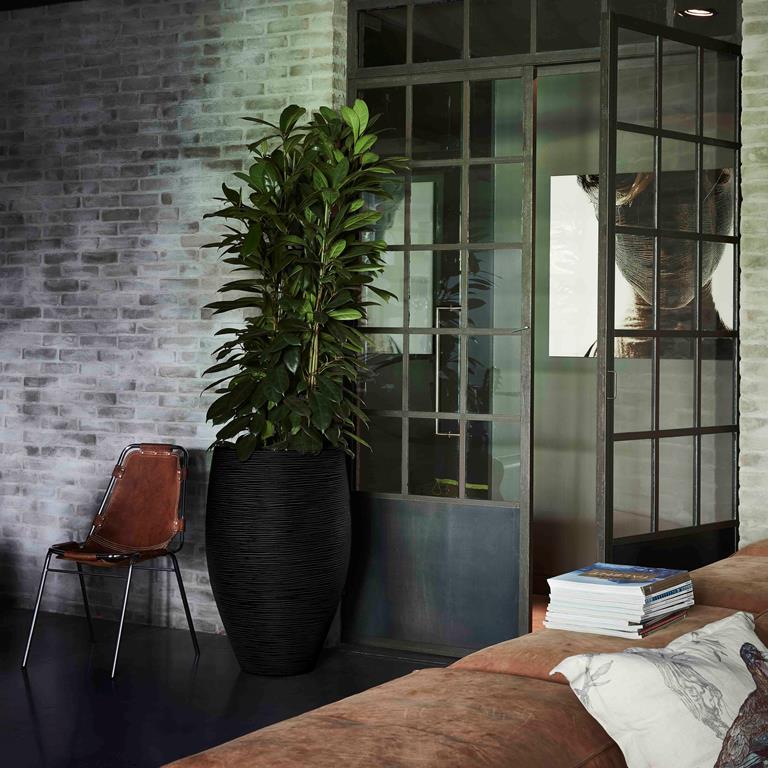 Capi Europe Nature Rib Vaas Eleg. Deluxe Ø 45 cm