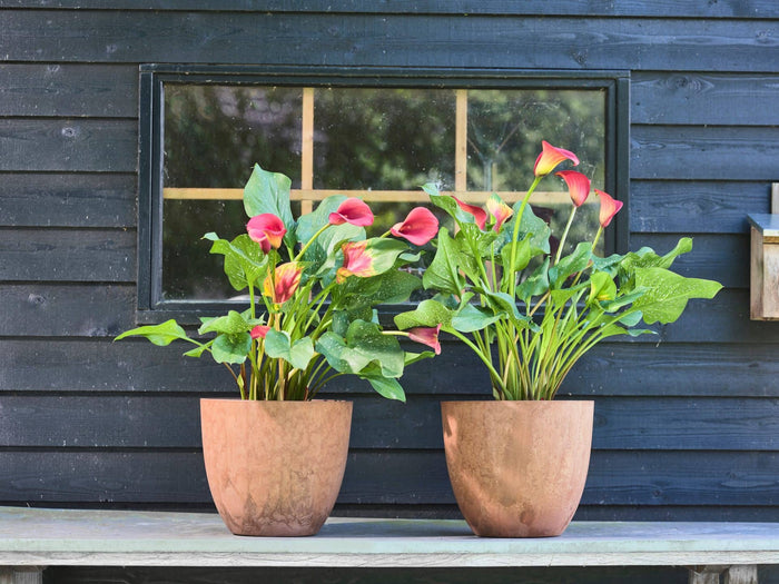 Artstone Bloempot Bola - 33x29 - Grijs