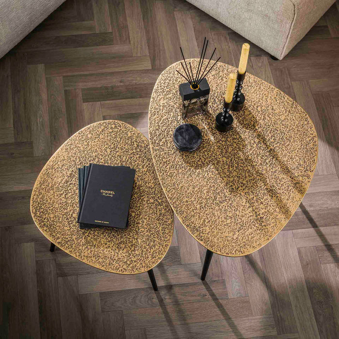 Fraaai Dylan salontafel set van 2