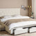 Beliani-LIEVIN-Bed met opbergruimte-Lichtbeige-180 x 200 cm-Fluweel